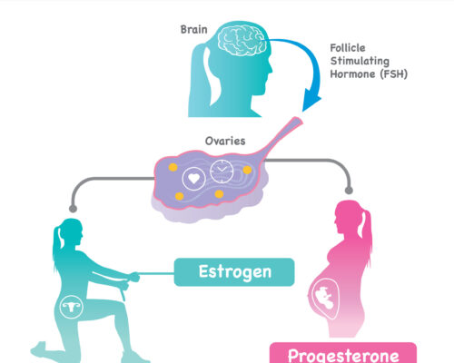 Cause of Male Thinning Hair. Illustration for explain problem male thinner hair cause from sensitivities androgen cells receptors