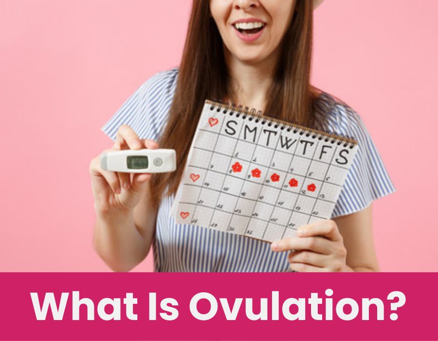 what is ovulation?Gynecologist in ambegaon-Pune-Dr. Sonal Katarmal
